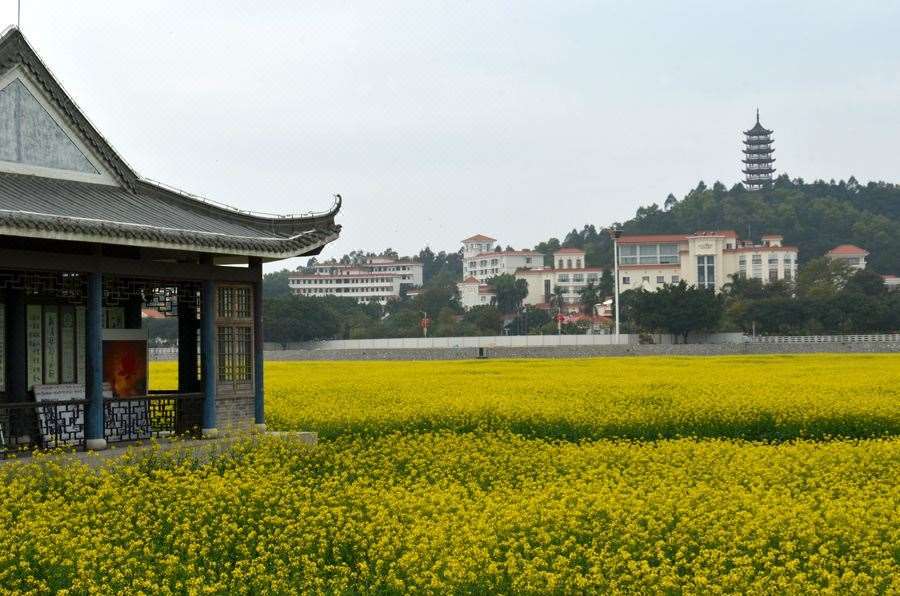 Dongguan Goodview Hotel Sangem Qiaotou Bekvemmeligheder billede